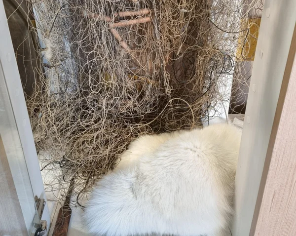 Основное занятие населения - рыболовство и охота на белого песца.